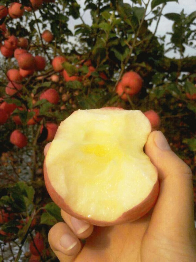 浮躁的世界，我們卻在靜心栽培企業(yè)宣傳片