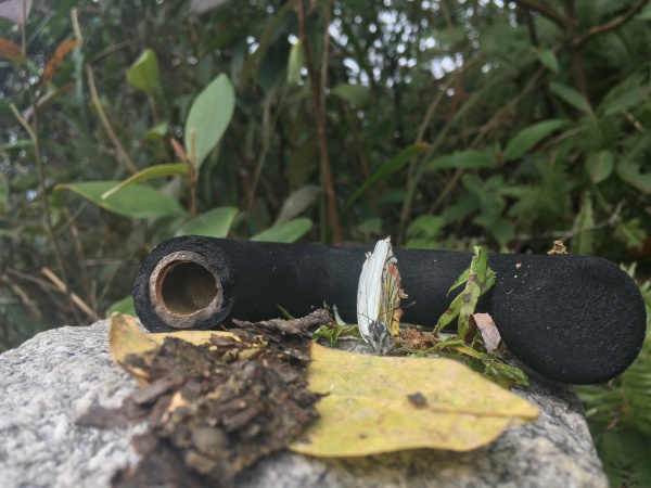 你在故宮修文物,我在紅瓜子拍企業宣傳片 你在故宮修文物,我在紅瓜子拍企業宣傳片