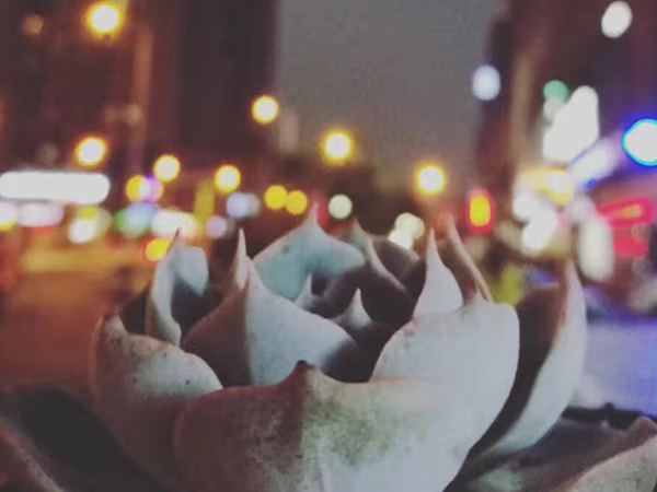 假如我有3天時間-我愿意留住企業宣傳片制作最美的瞬間 假如我有3天時間-我愿意留住企業宣傳片制作最美的瞬間