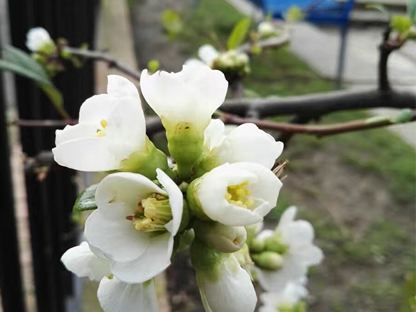 假如我有3天時間-我愿意留住企業宣傳片制作最美的瞬間 假如我有3天時間-我愿意留住企業宣傳片制作最美的瞬間