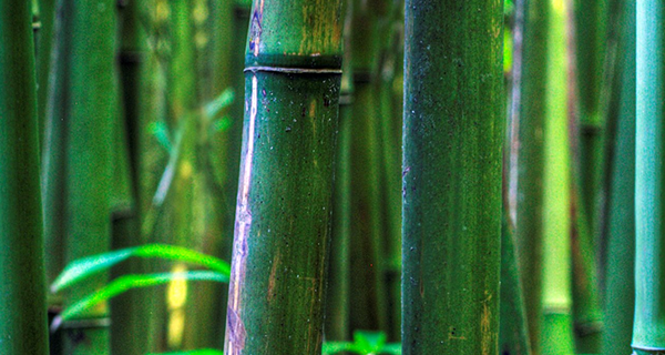 常見的房地產3D動畫制作案例有哪些？