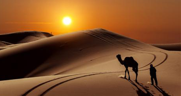 紅瓜子傳媒_企業宣傳片定位_視頻拍攝