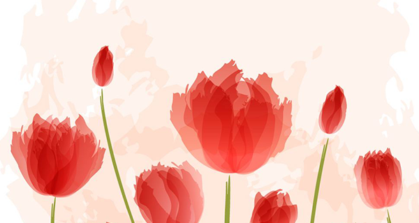 企業宣傳片制作白描手法？直面您最真實的企業需求